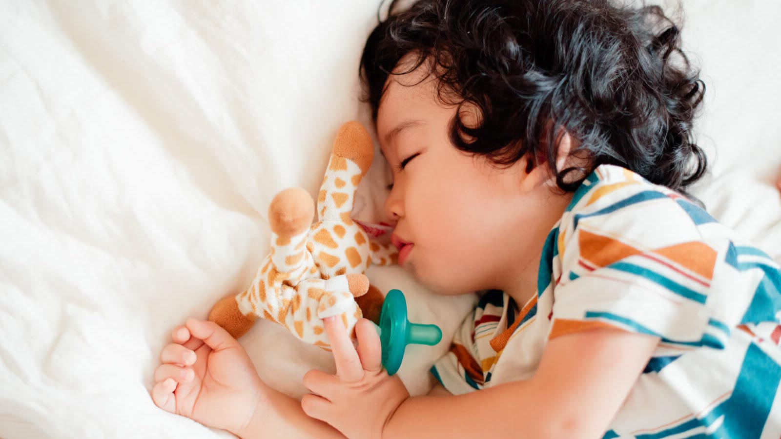 全データを園様に無償提供いたします