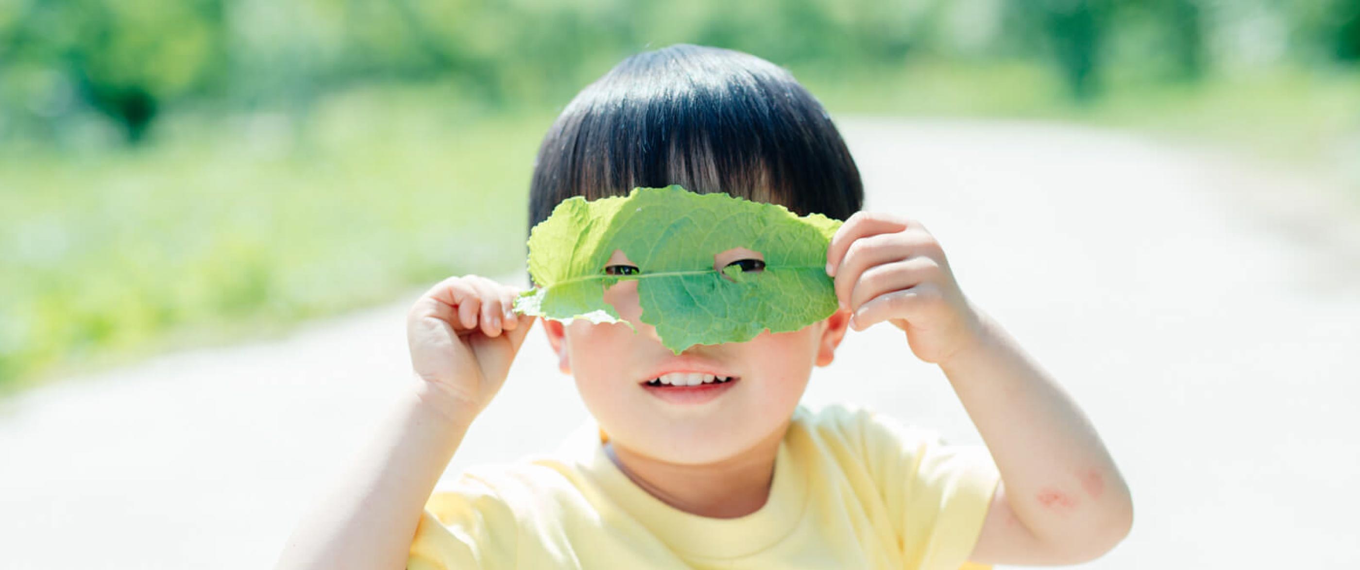 にじいろのライオン