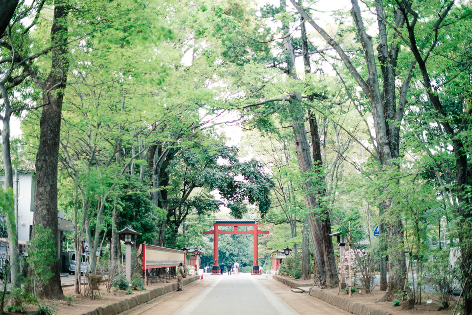 大宮氷川神社　大宮八幡宮　参道の鳥居