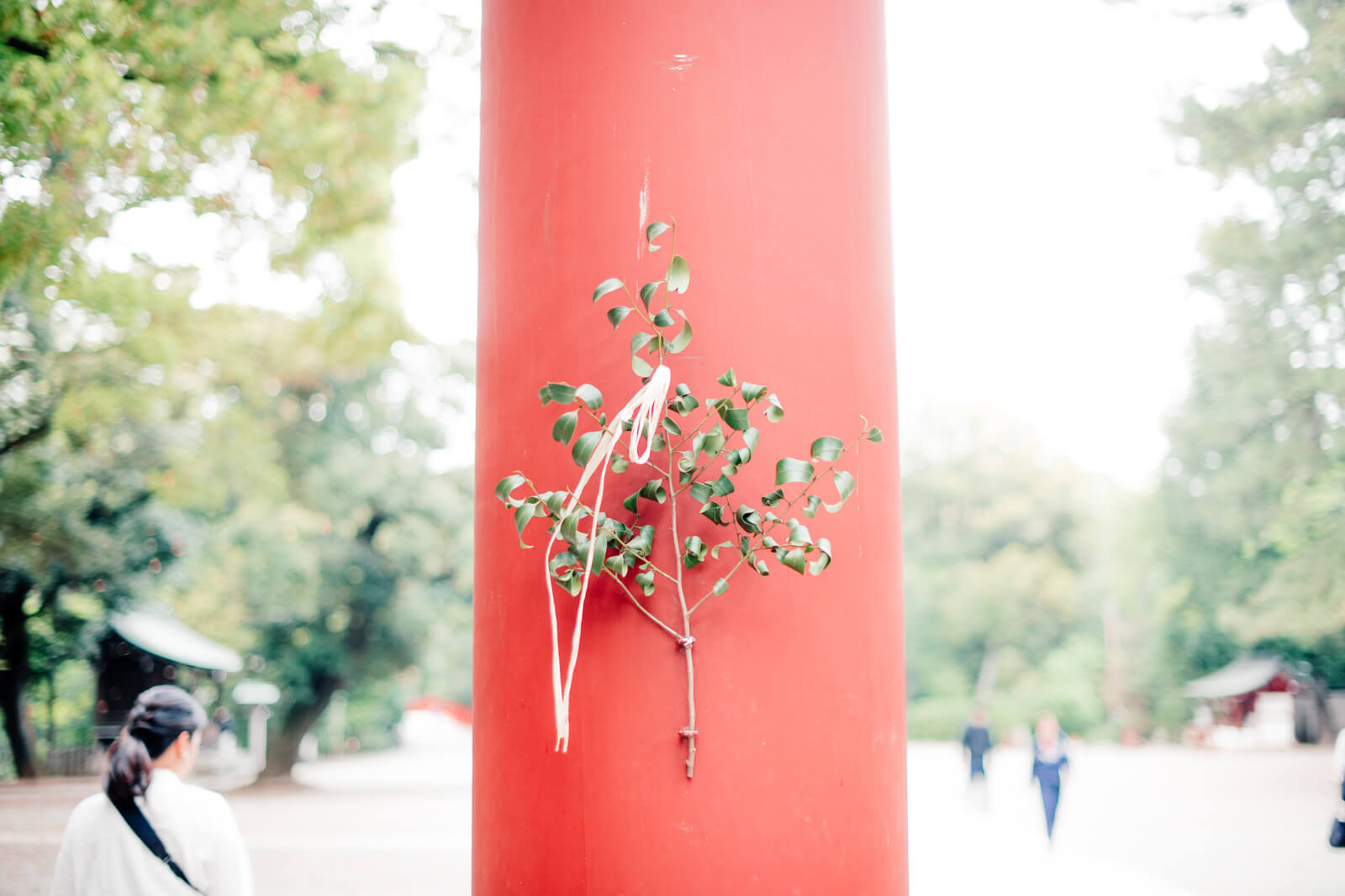 大宮氷川神社　大宮八幡宮　鳥居の玉串
