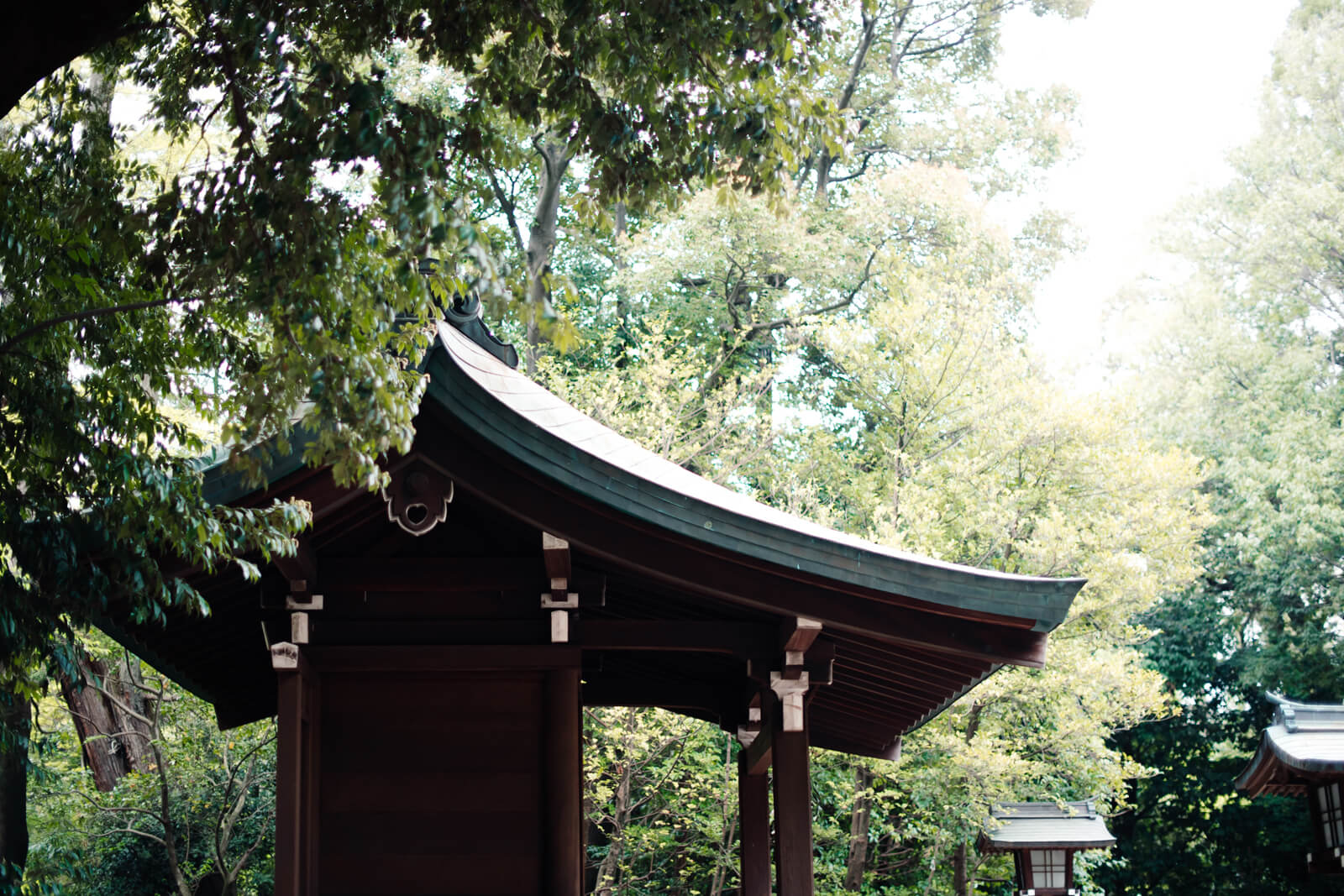 大宮氷川神社　大宮八幡宮　鳥居