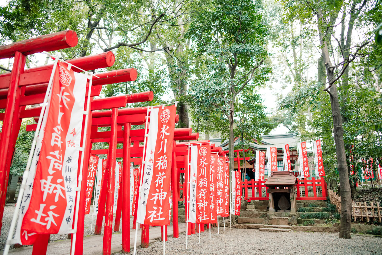大宮氷川神社　大宮八幡宮　鳥居　氷川稲荷神社