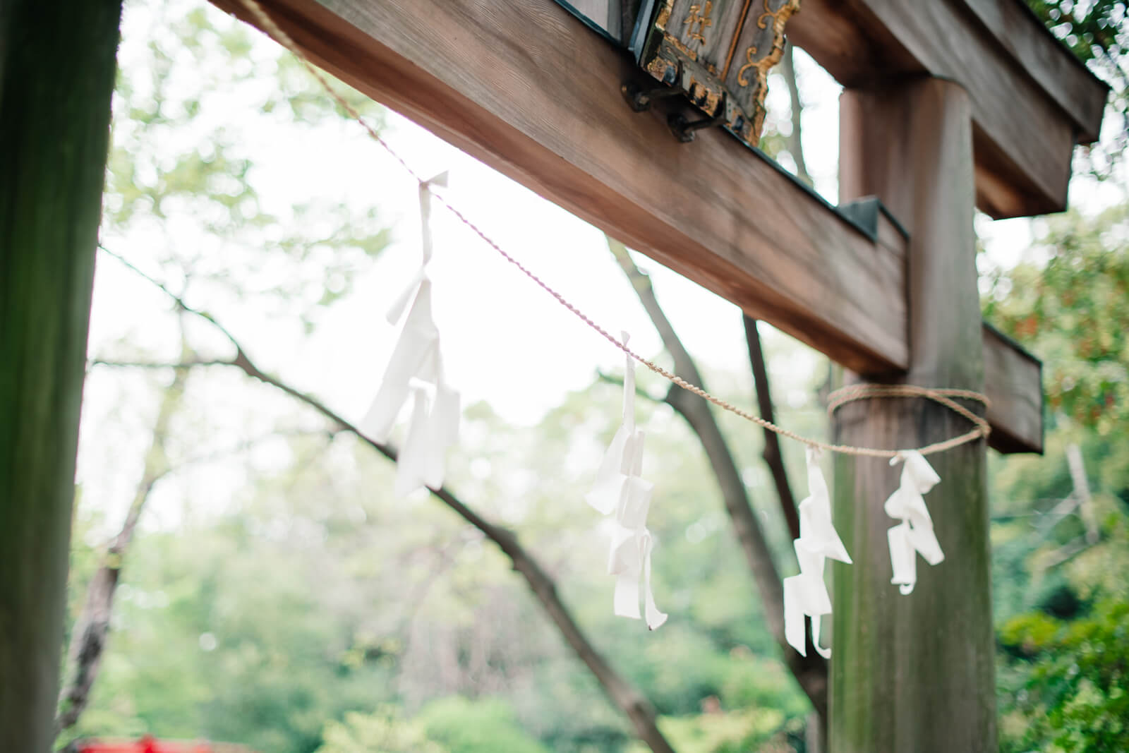 大宮氷川神社　大宮八幡宮　鳥居　玉串
