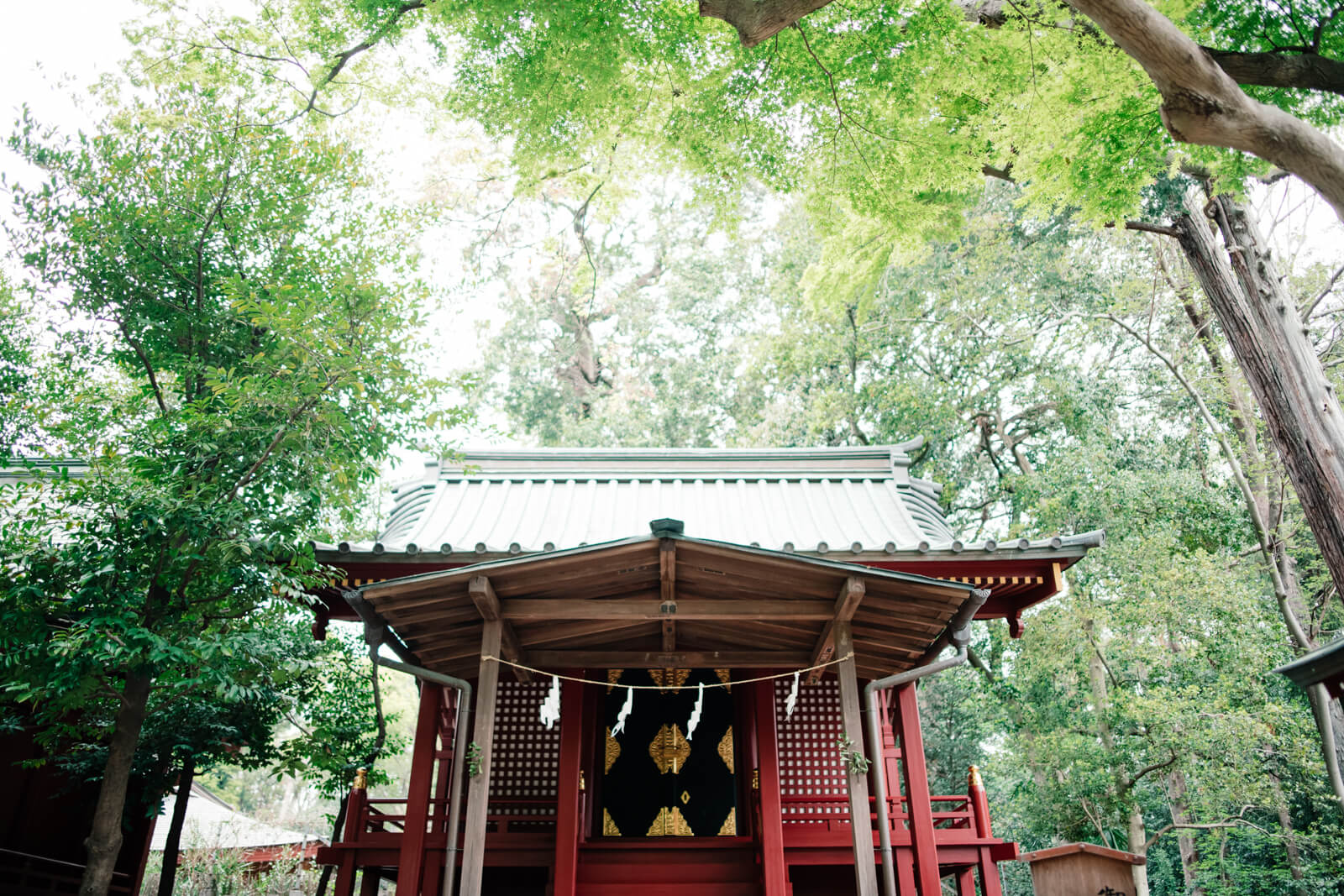 大宮氷川神社　大宮八幡宮　門客人神社　御嶽神社