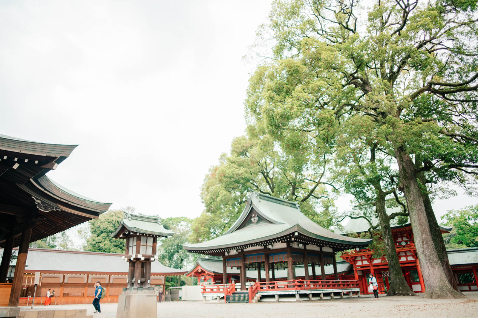 大宮氷川神社　大宮八幡宮　七五三とお宮参りの出張撮影