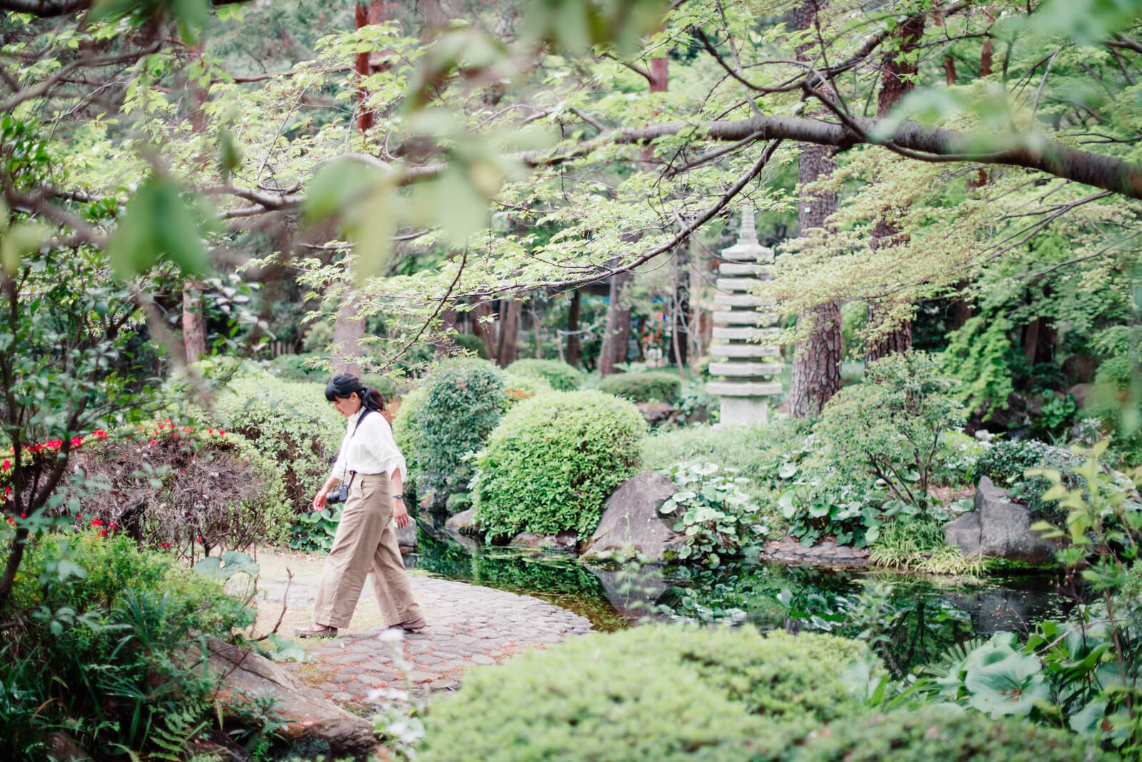大宮氷川神社　大宮八幡宮　大宮公園　フォトグラファー木島夕貴　撮影風景