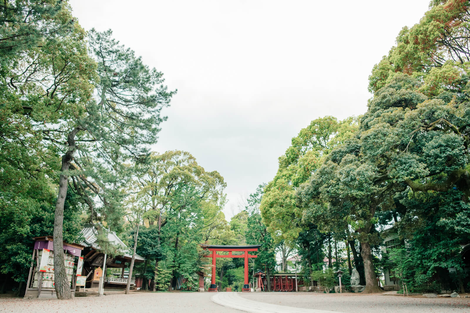 大宮氷川神社　大宮八幡宮　境内　鳥居