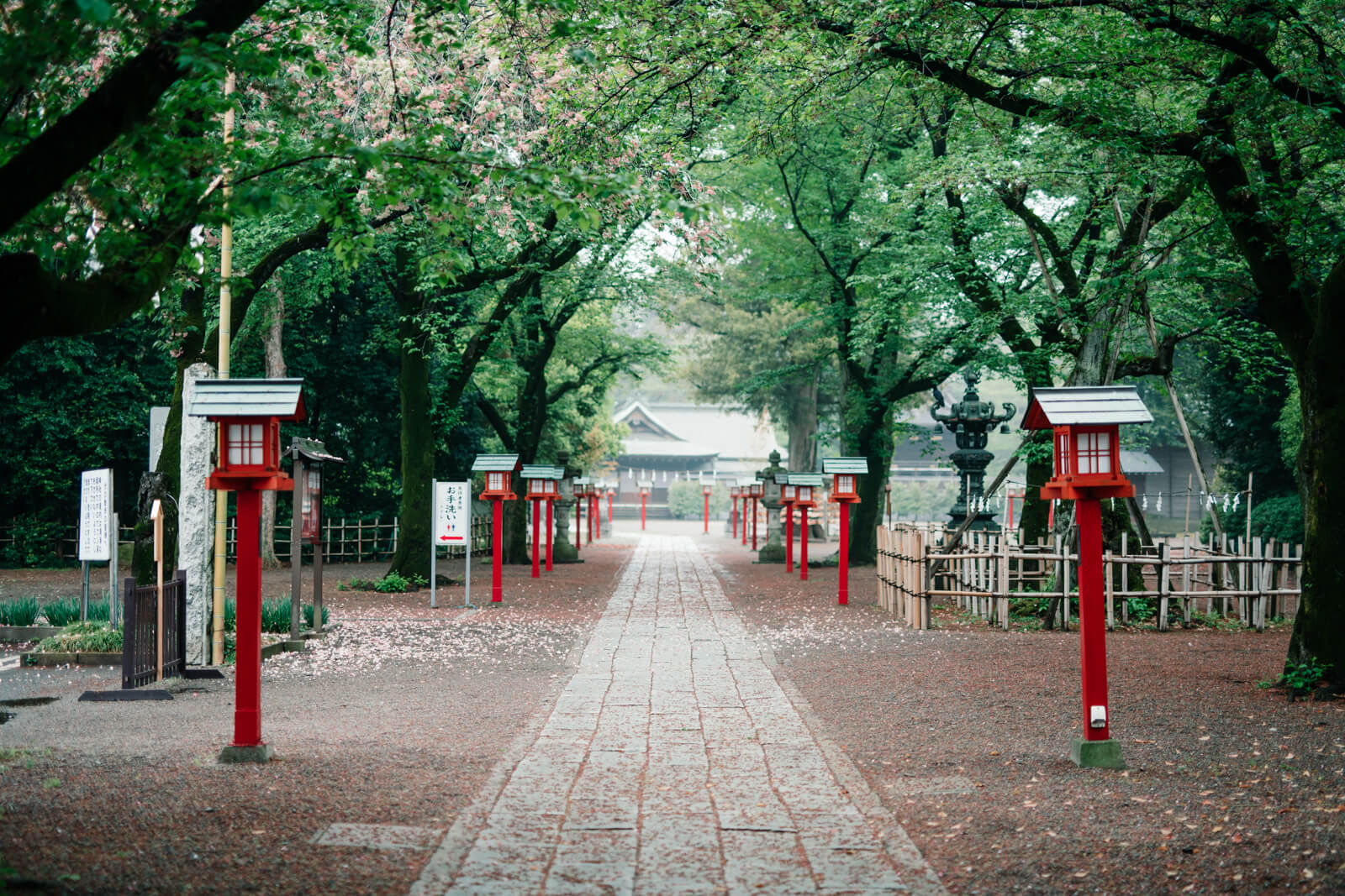 鷲宮神社 霧がかかった参道