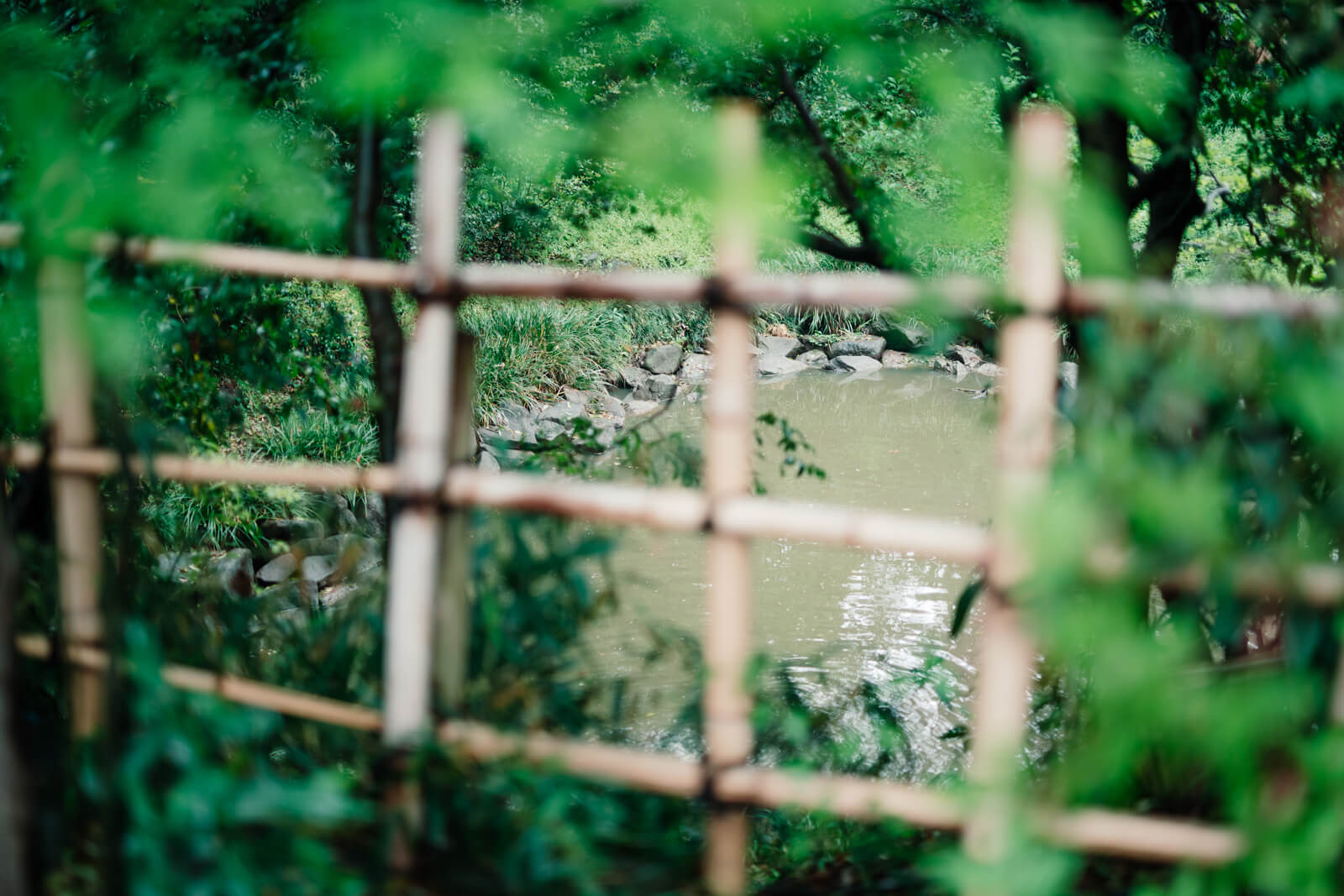 光天之池 龍神さま 鷲宮神社