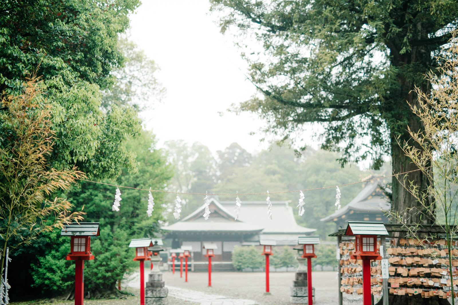 鷲宮神社 境内 参道と本殿 七五三とお宮参りの出張撮影