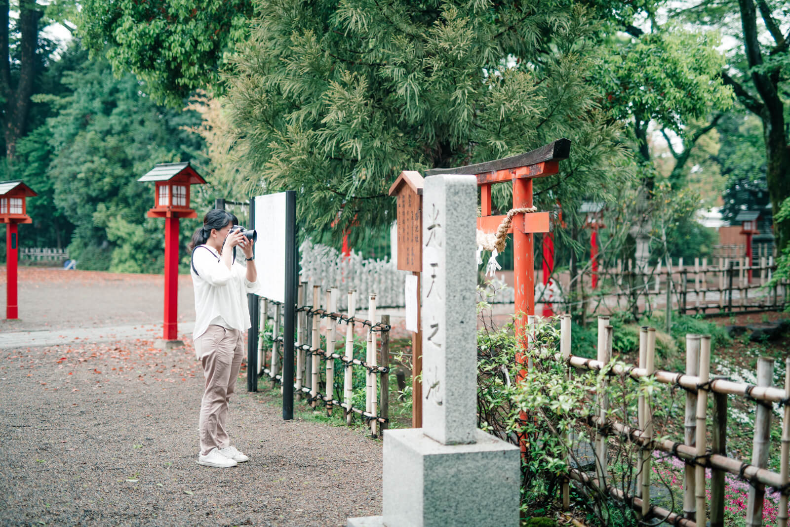 光天之池 龍神さま 鷲宮神社