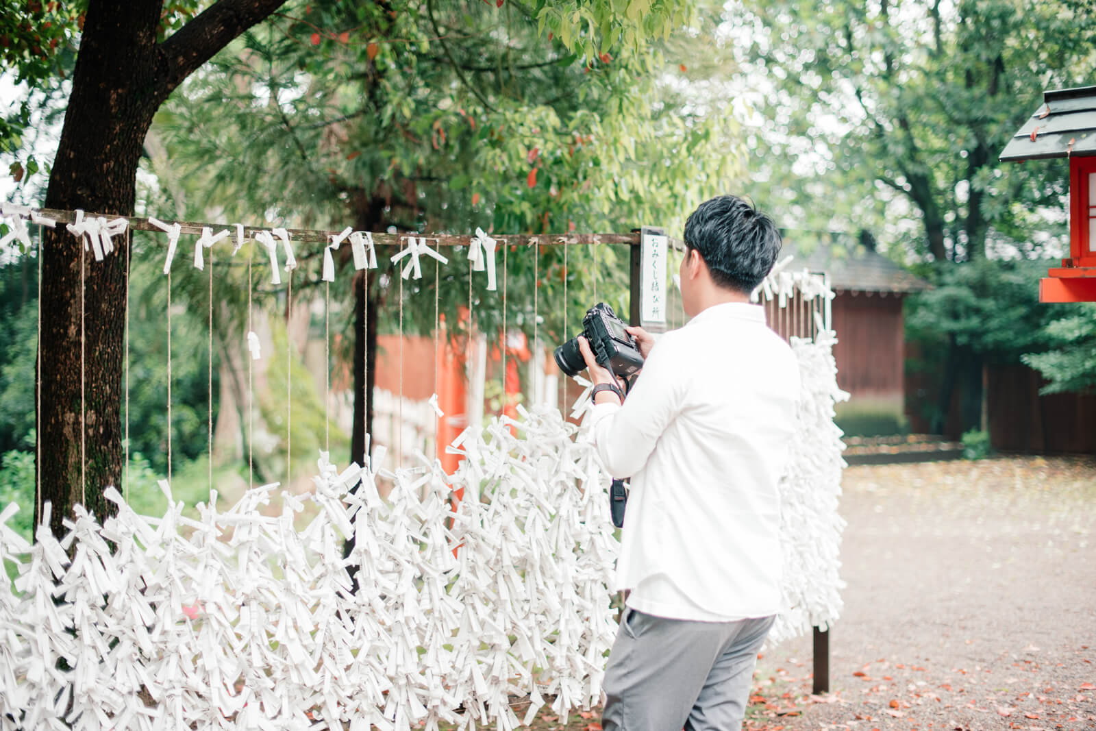 鷲宮神社 おみくじ　おみくじ結び所 フォトグラファー江守勇人の撮影風景