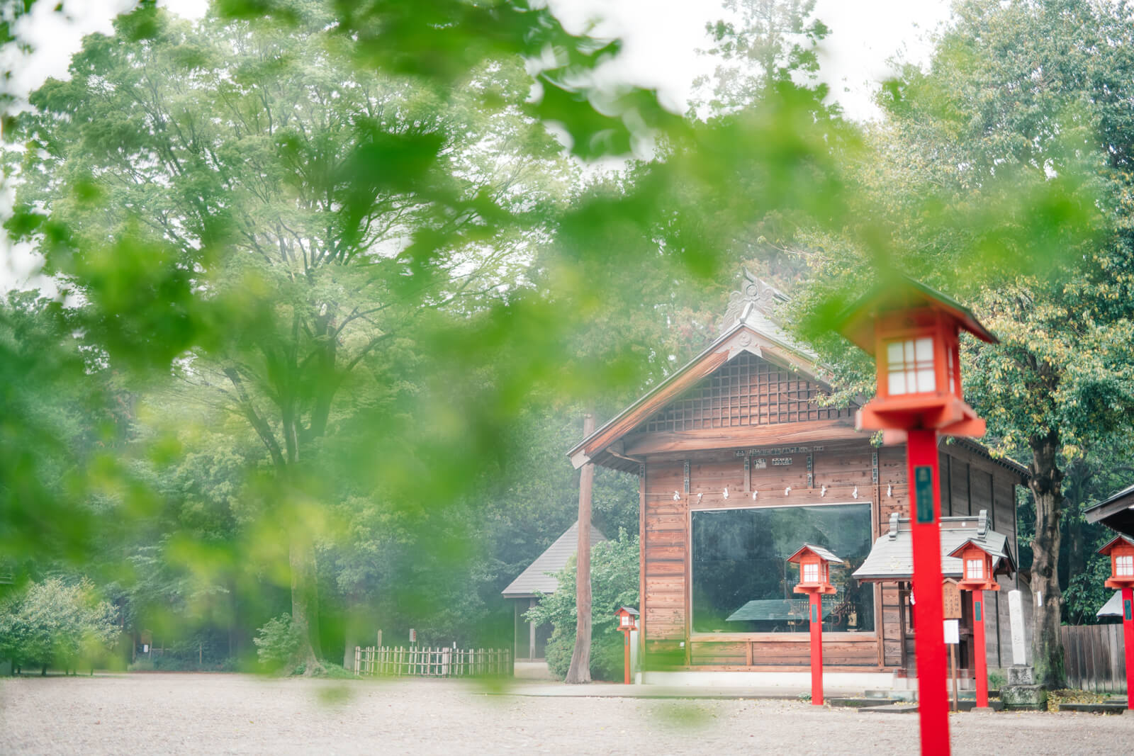鷲宮神社 雨上がりの霧がでている境内