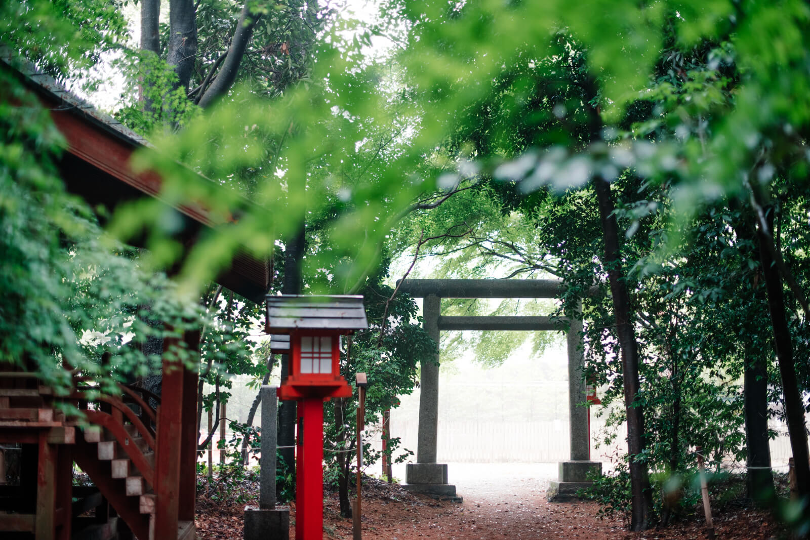 鷲宮神社 鳥居 雨上がりの霧雨