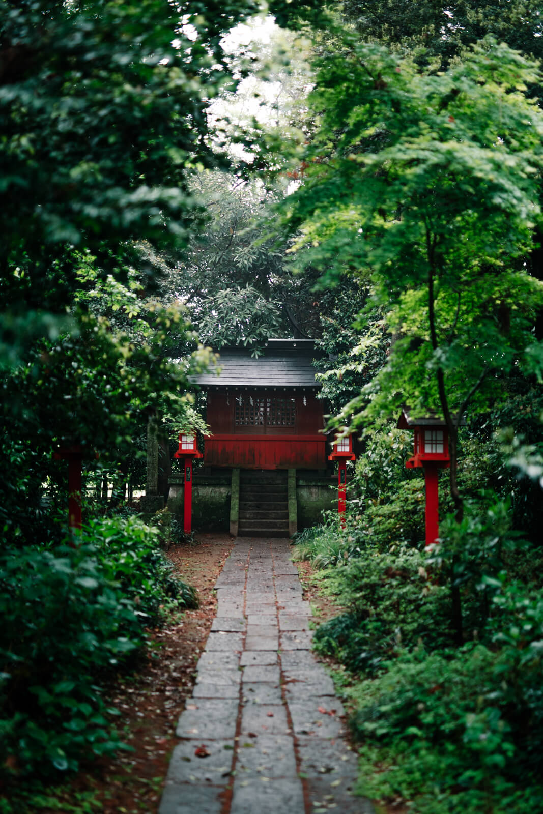 鷲宮神社 小さな鳥居