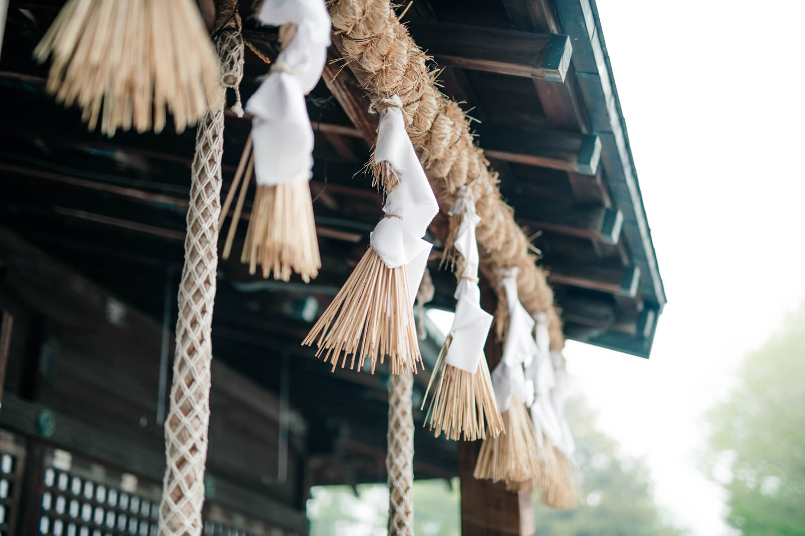 鷲宮神社の本殿 参拝