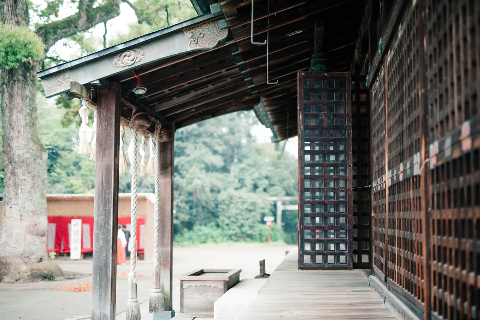 鷲宮神社の本殿 参拝 お賽銭箱