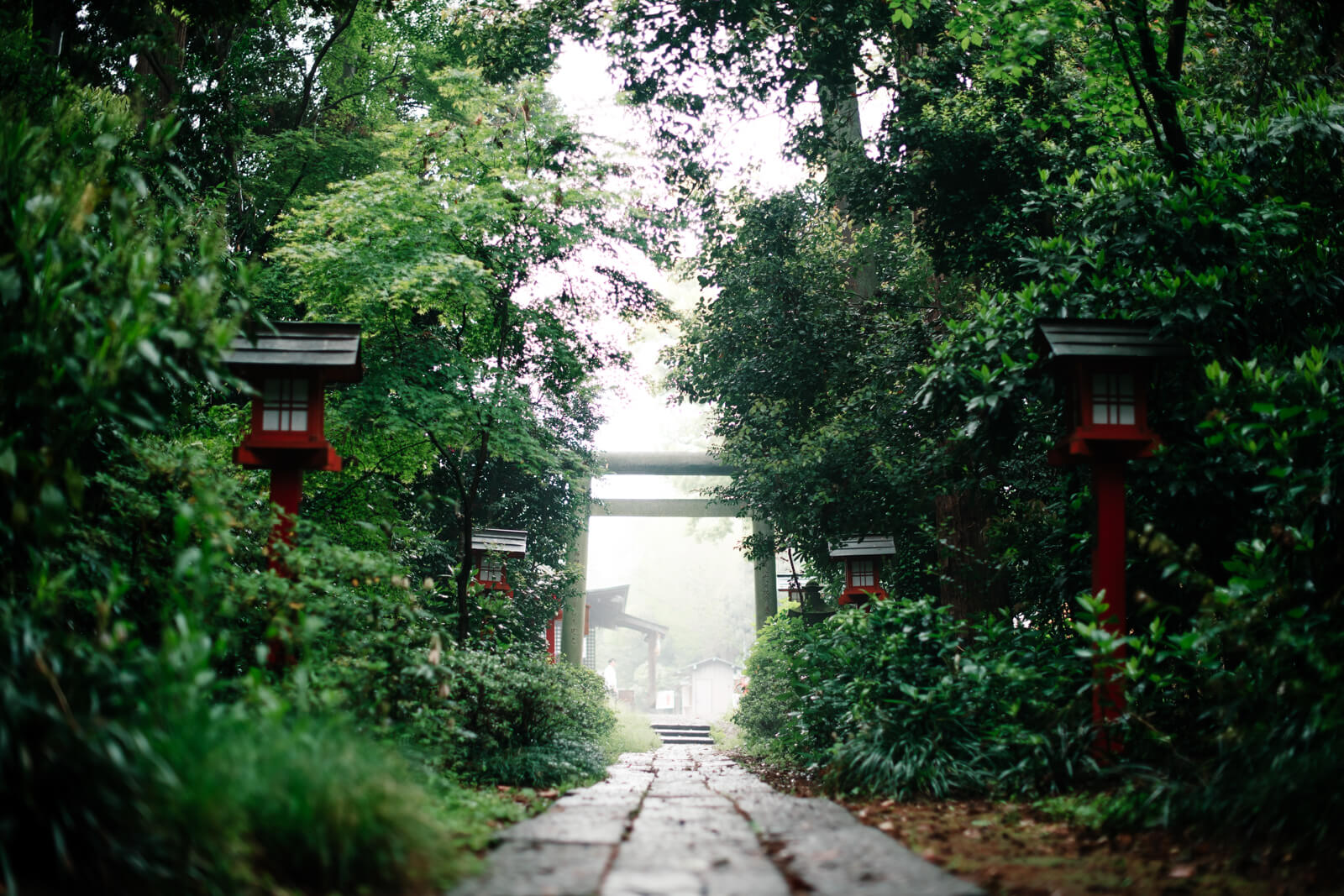 鷲宮神社 小さな鳥居 早朝 霧雨