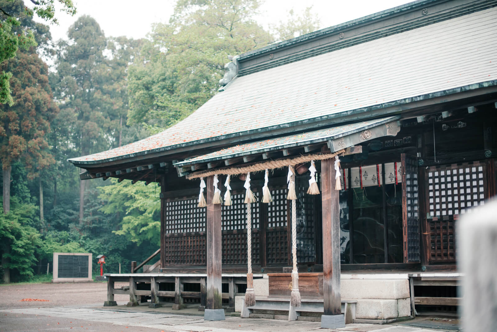 鷲宮神社 早朝の本殿 