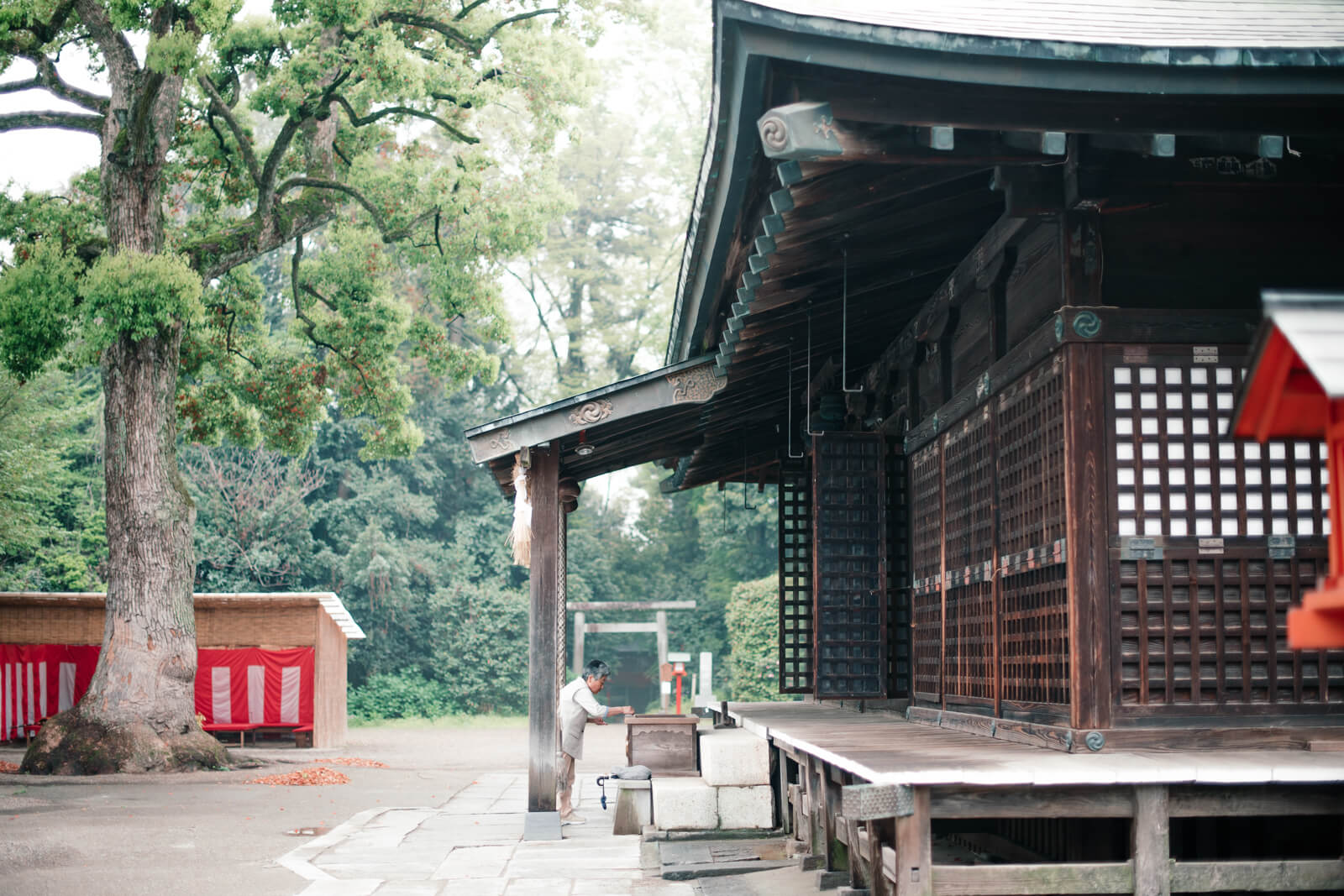 鷲宮神社 早朝の本殿 参拝者