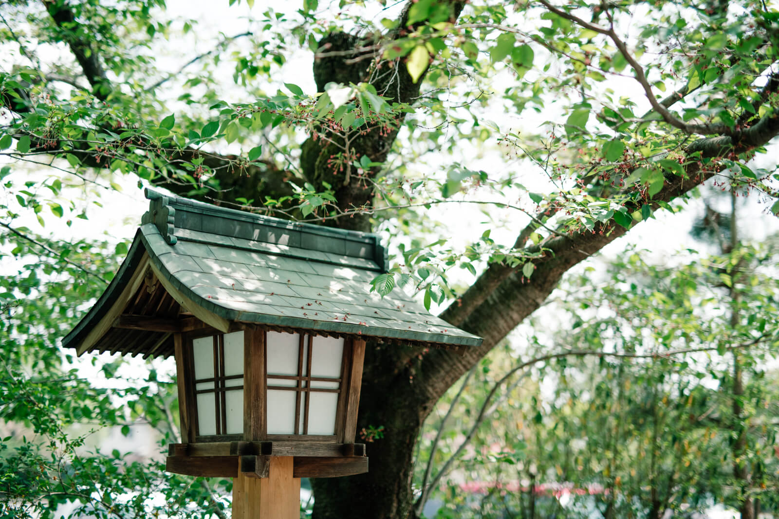 高麗神社の街灯 風景