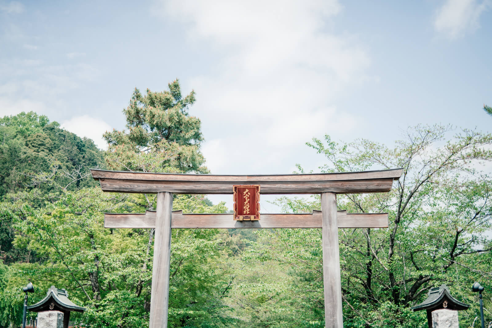 高麗神社の出張撮影 七五三 お宮参