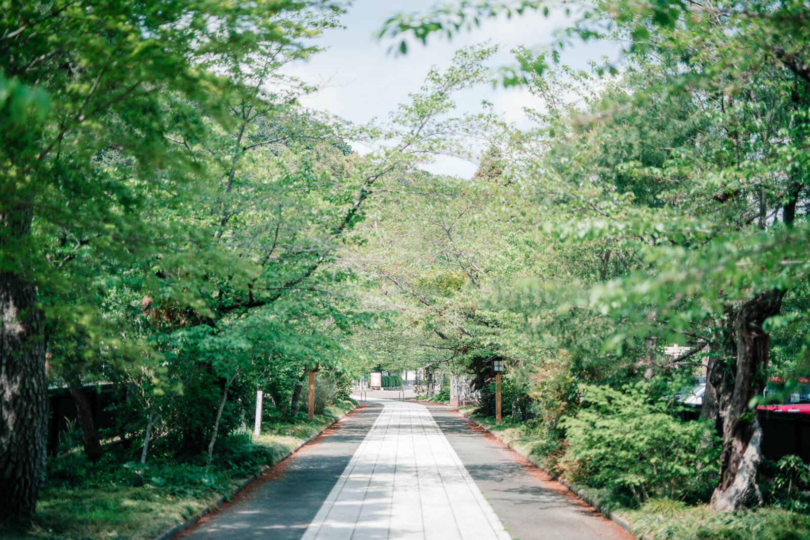 高麗神社の参道 晴れの日