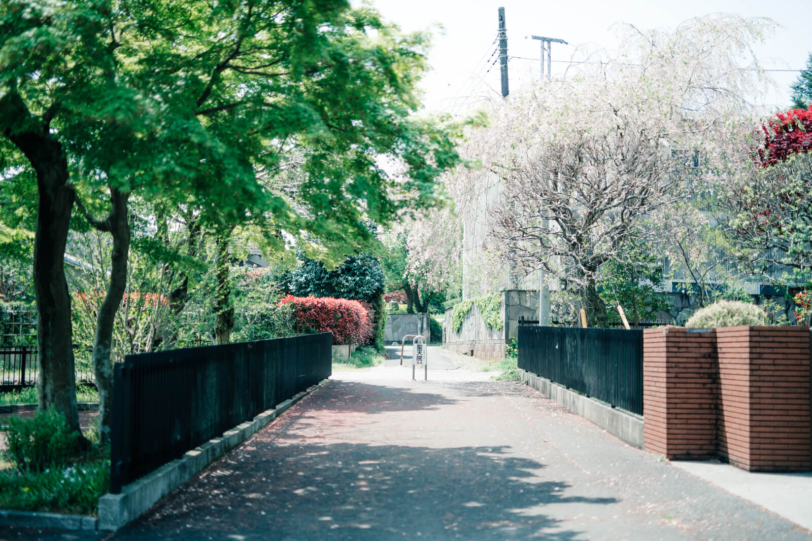 高麗神社の脇道 日常風景
