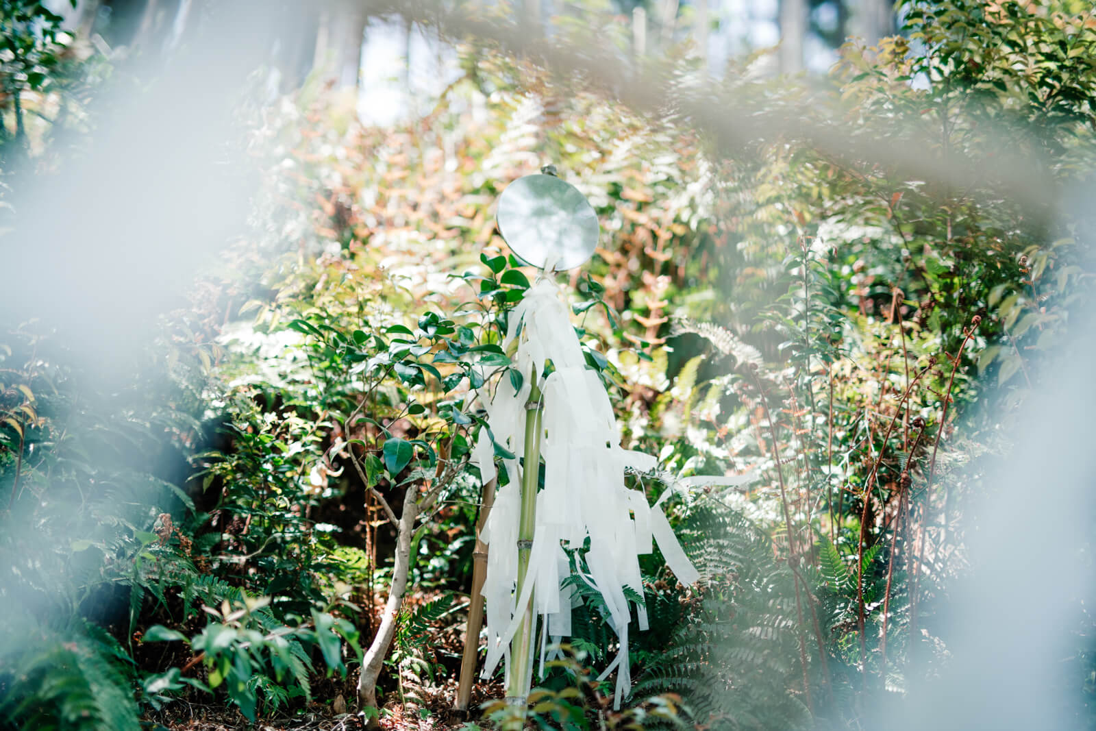 高麗神社の玉串 光が綺麗
