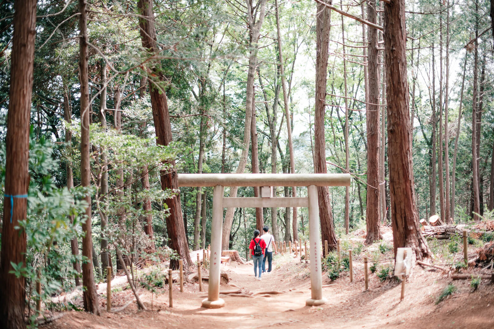 高麗神社 水天宮の鳥居をくぐるカップル