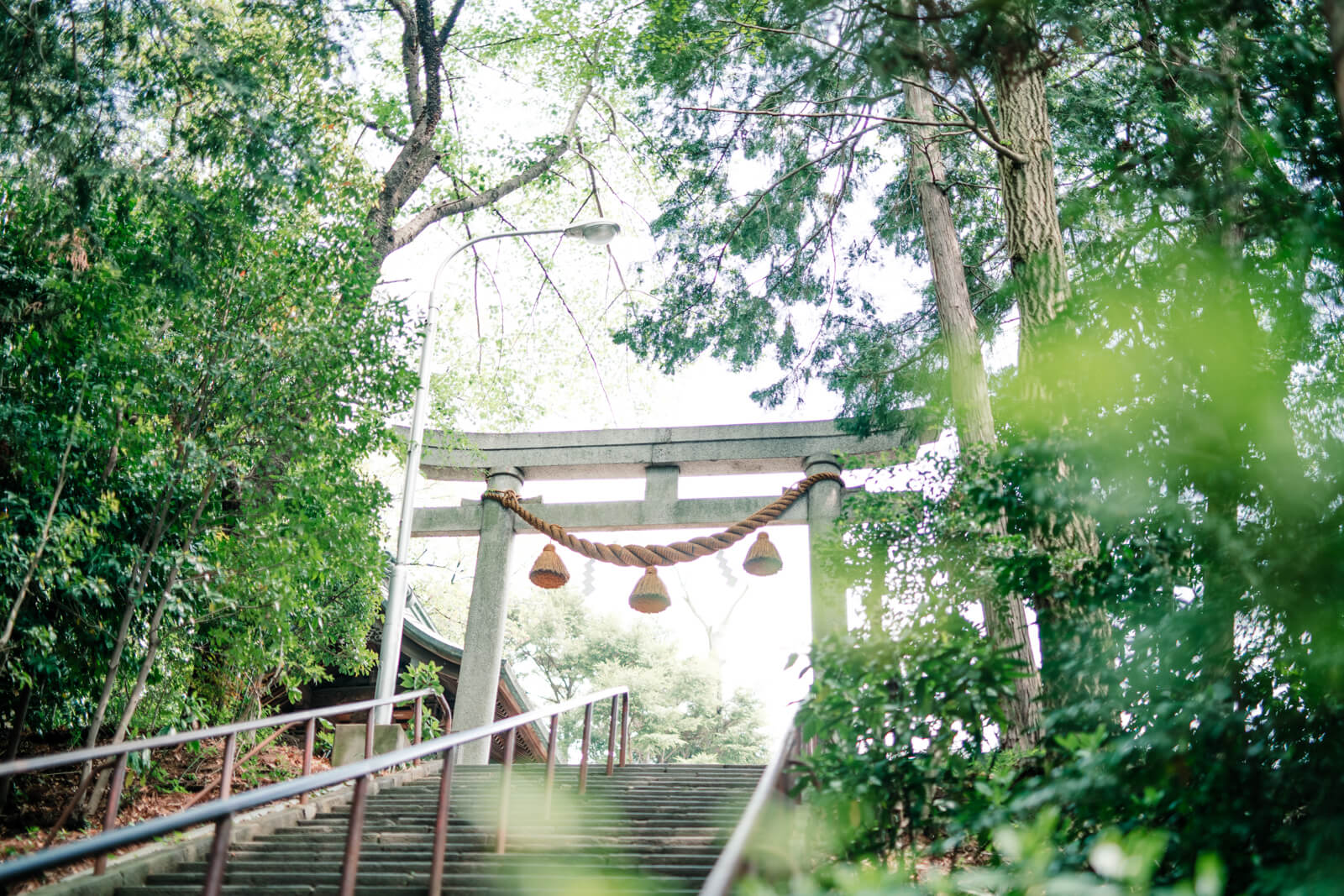 立派な注連縄 狭山八幡神社