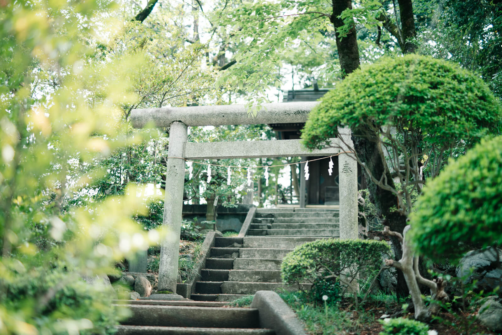 狭山八幡神社 境内 鳥居