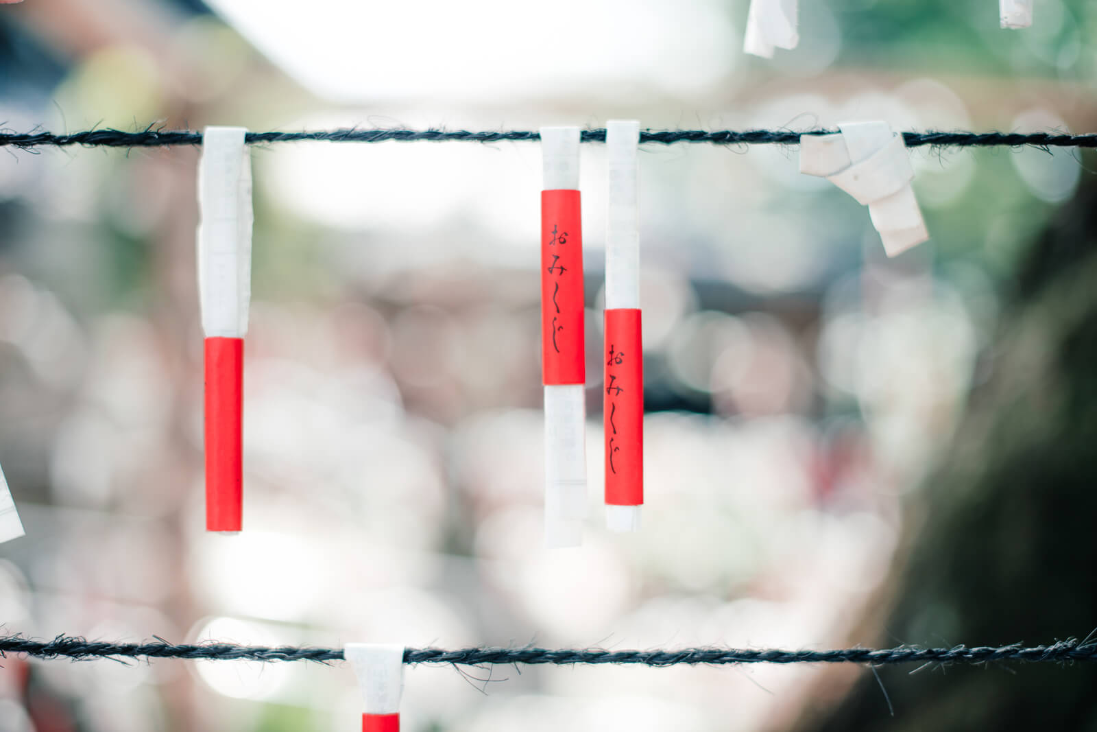 狭山八幡神社 おみくじ おみくじ結び所