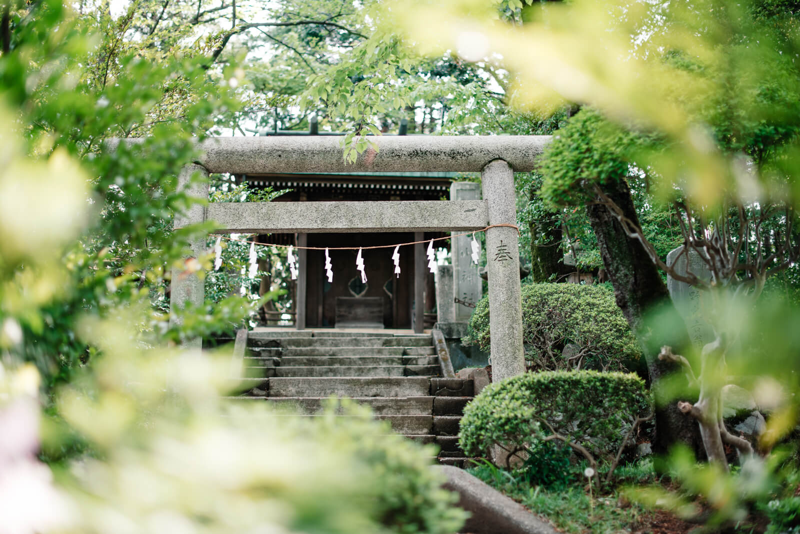 狭山八幡神社 七五三 お宮参りの出張撮影