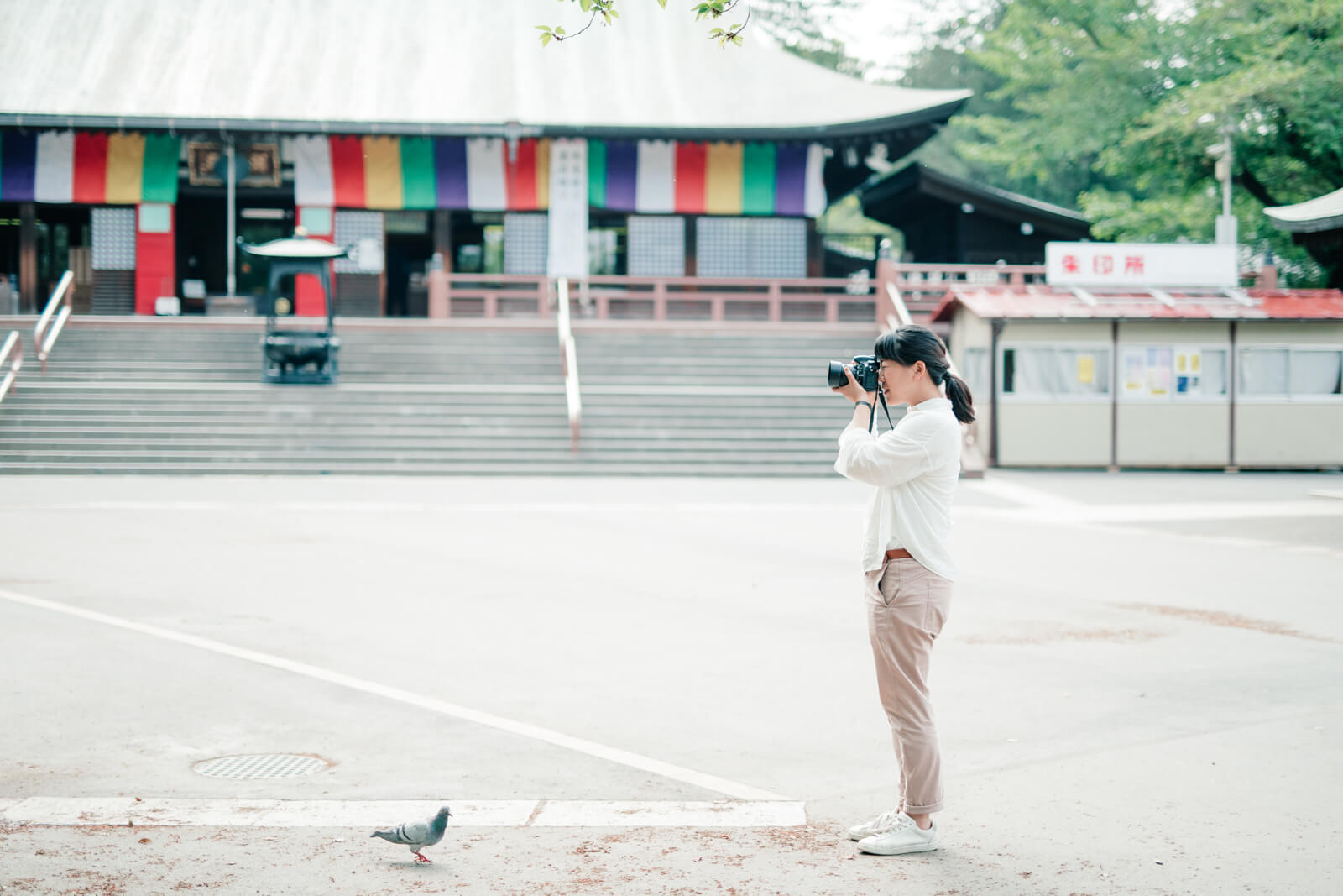 木島夕貴 フォトグラファー撮影風景 喜多院