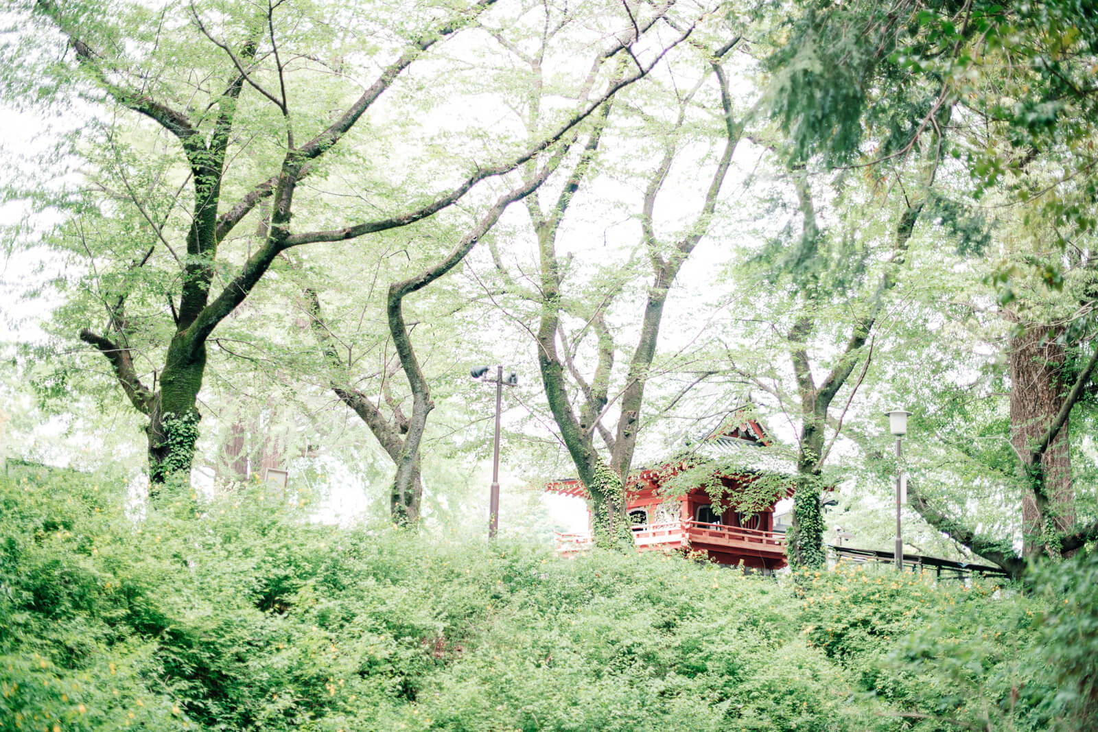 喜多院 鐘楼門 風景 七五三 お宮参りの出張撮影