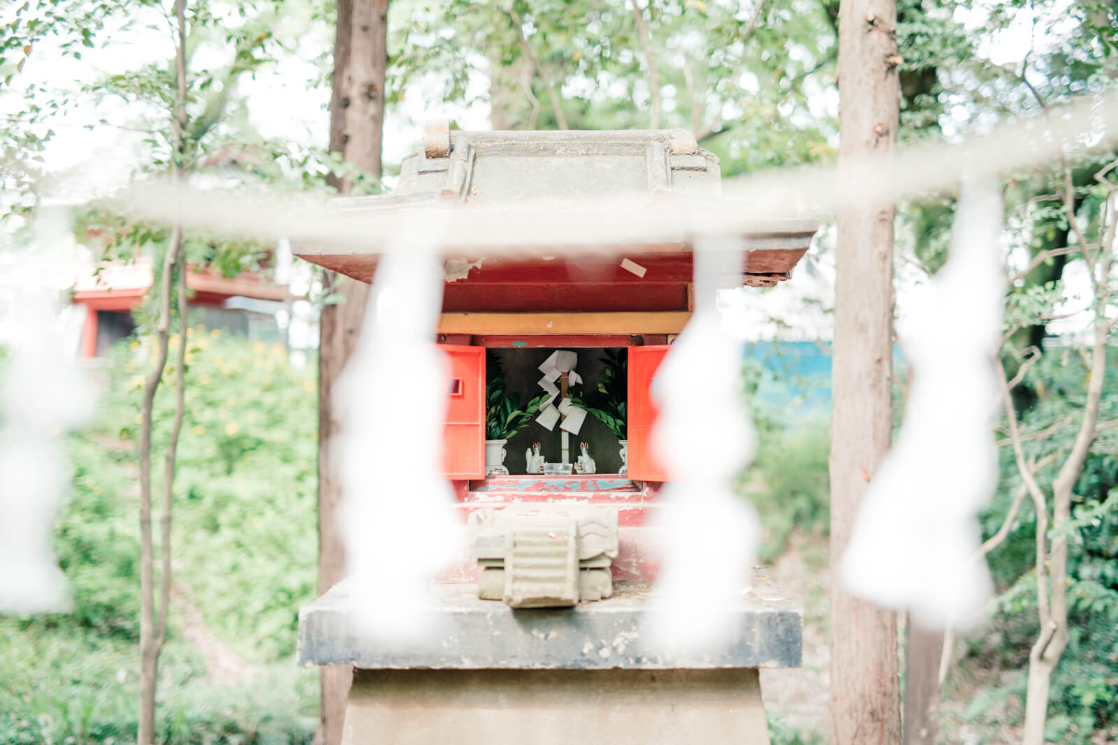 喜多院 赤い橋 小さな鳥居