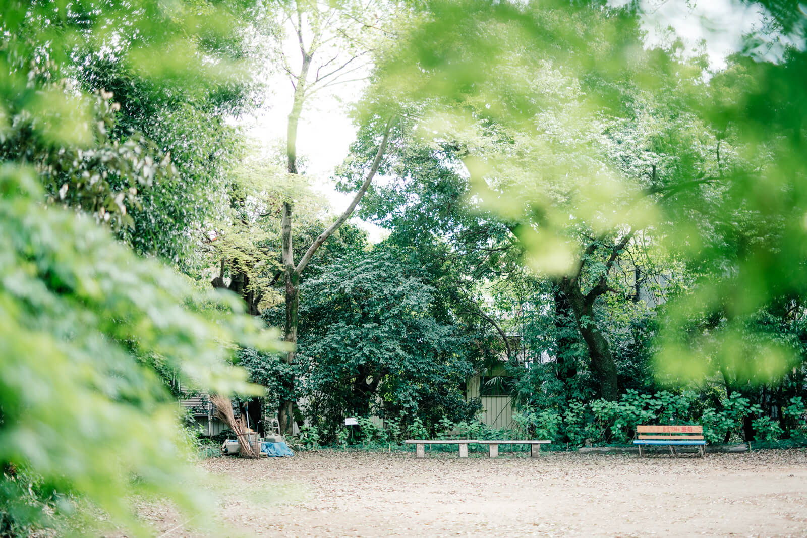 喜多院の広場 ゲートボール場