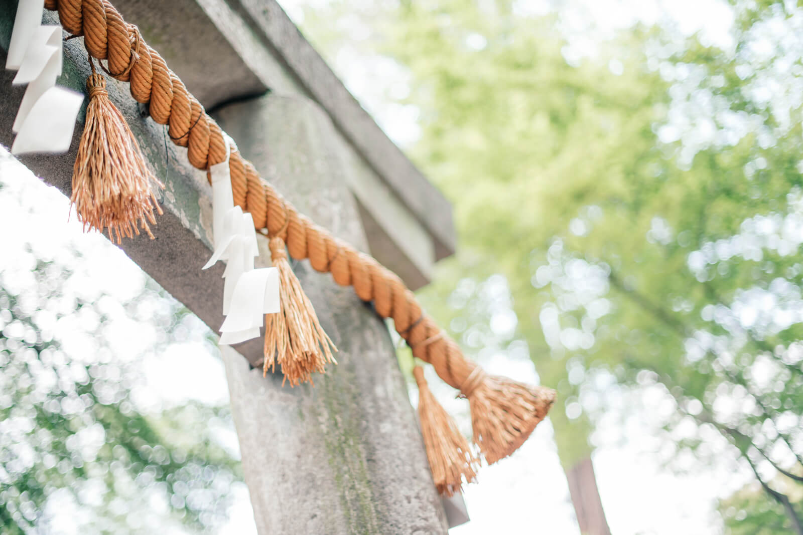 喜多院の鳥居 綱
