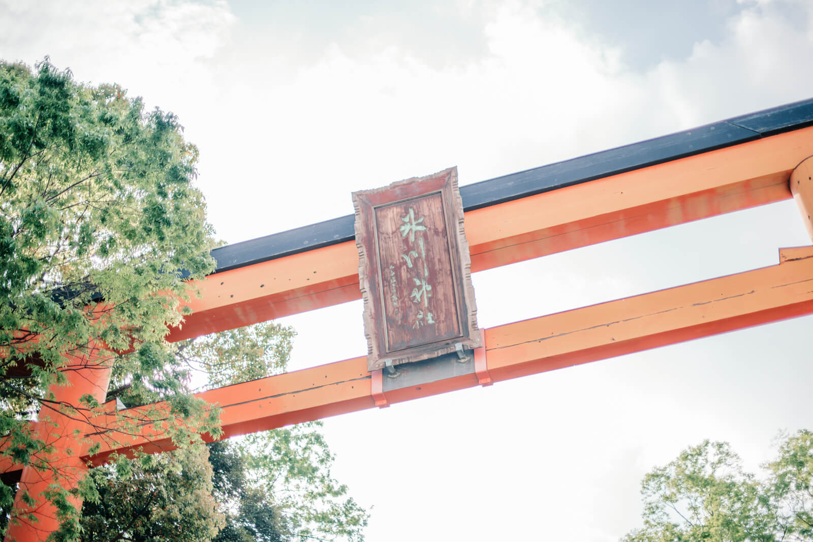 川越氷川神社 境内の入り口にある鳥居 15m