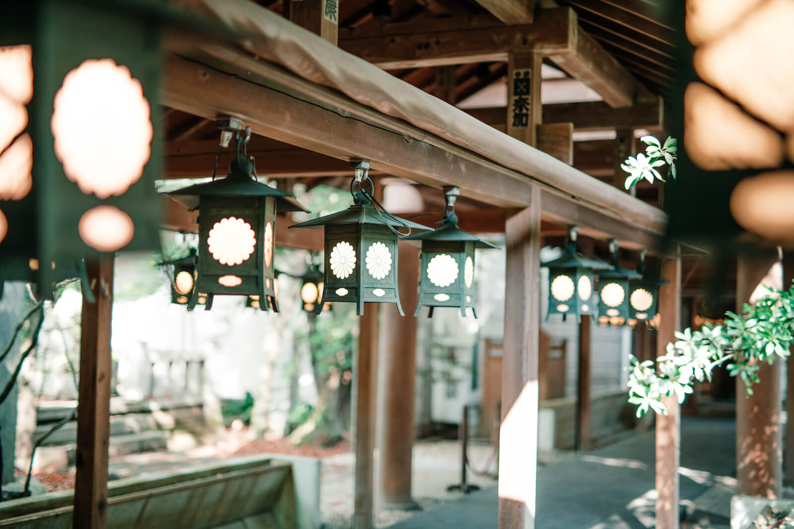 川越氷川神社 境内 氷川会館からの渡り廊下