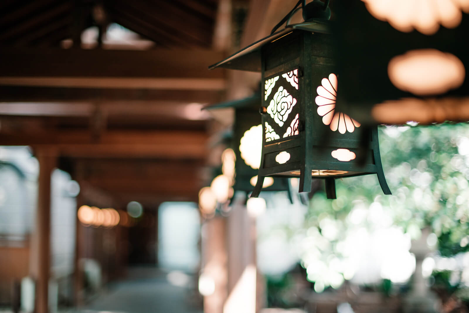 川越氷川神社 境内 氷川会館からの廊下にある蘭たん