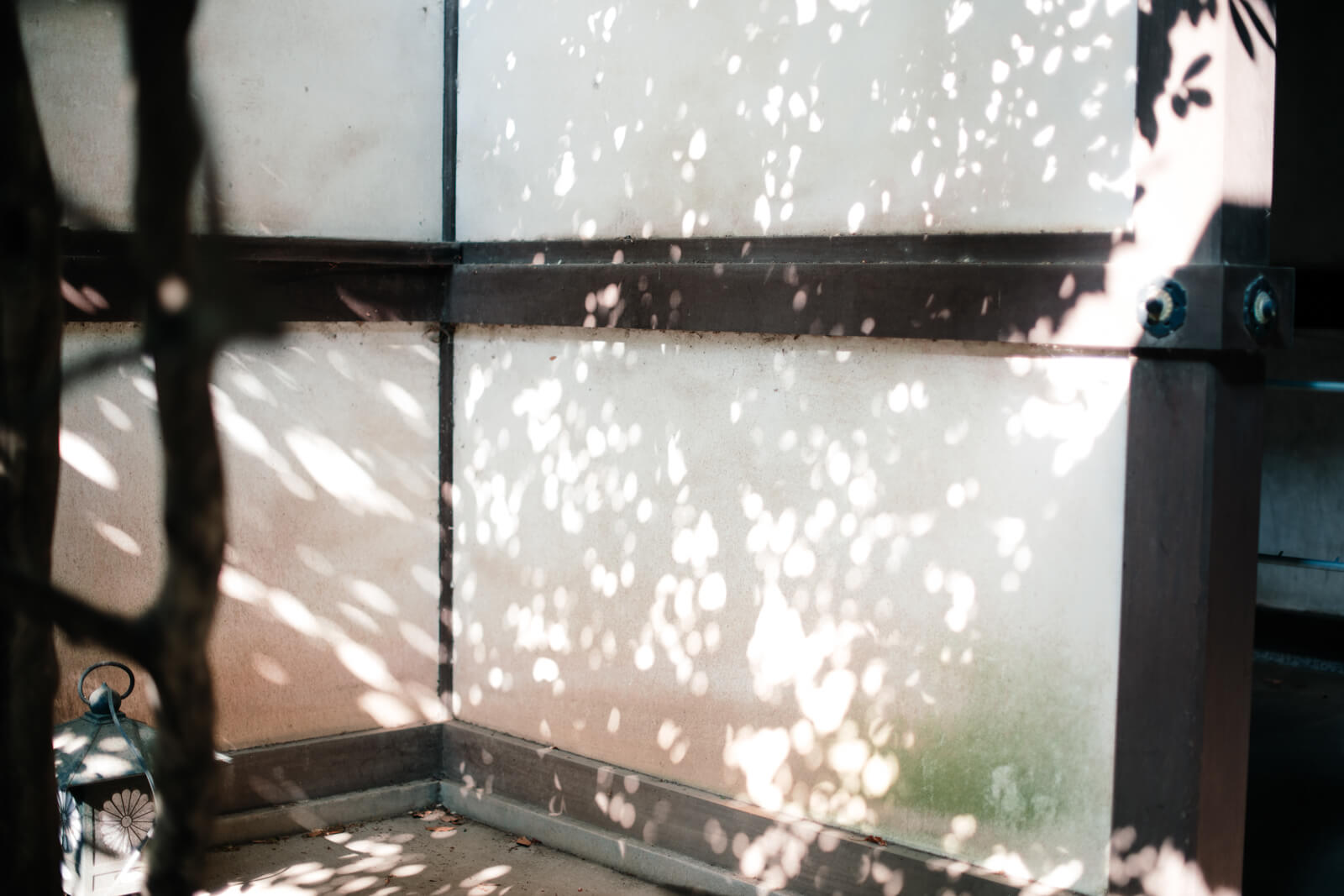 川越氷川神社 境内 氷川会館から本殿への廊下 綺麗な光