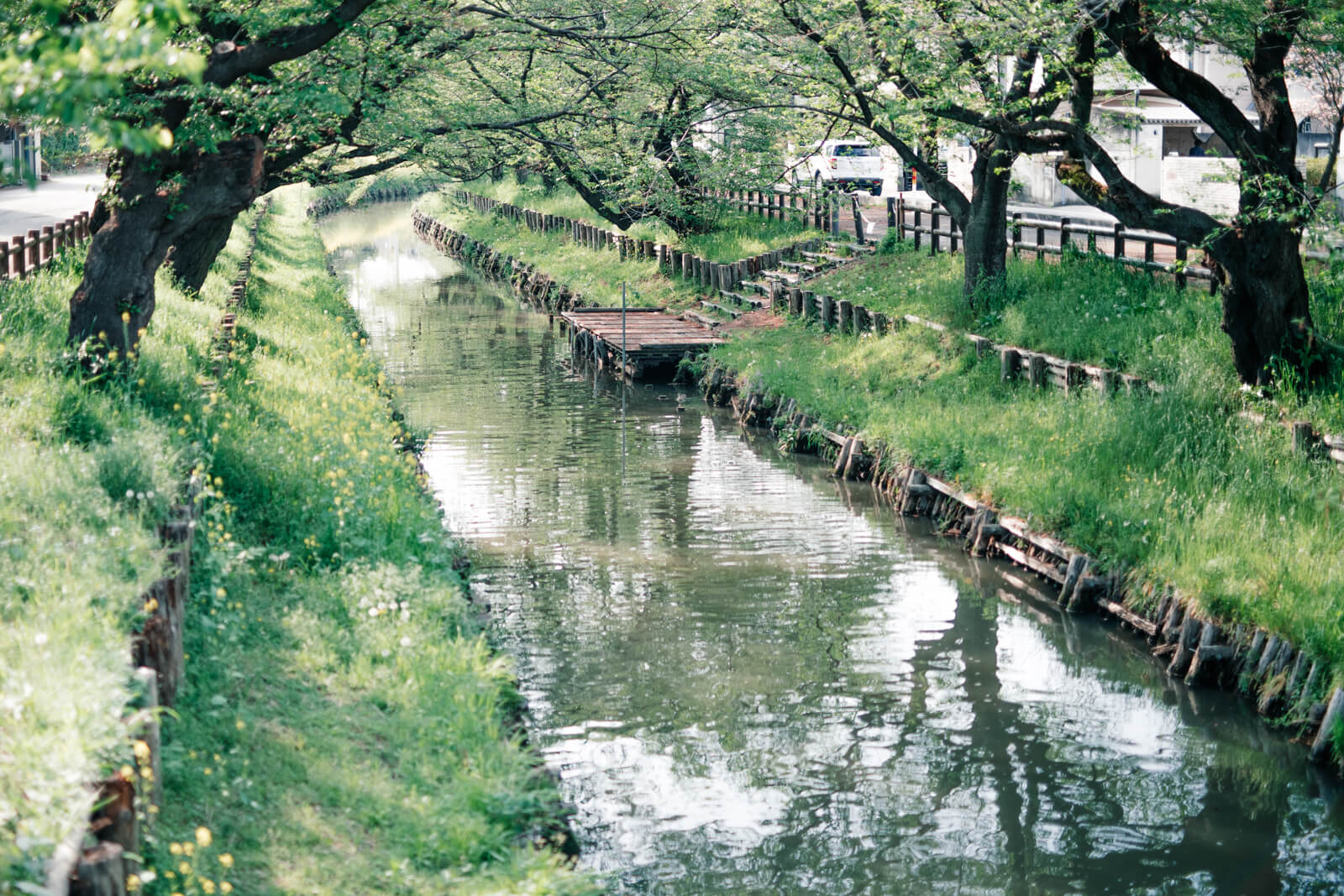 川越氷川神社 新河岸川
