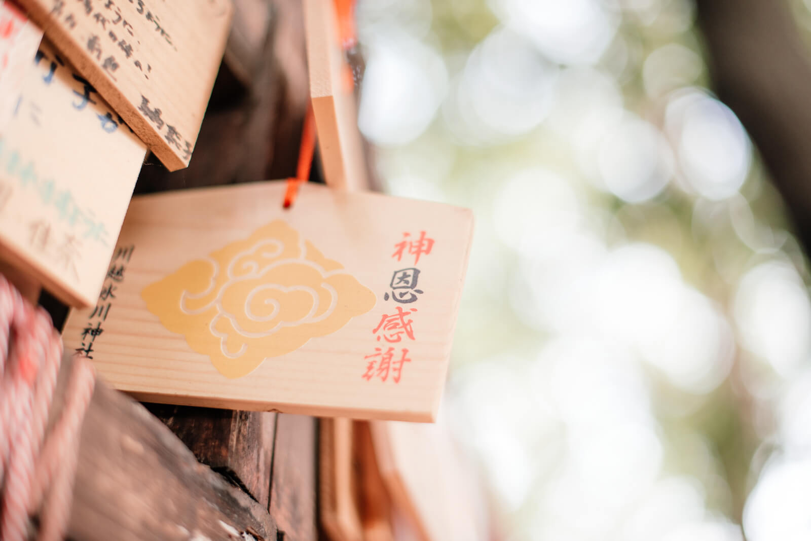 川越氷川神社 絵馬の神恩感謝