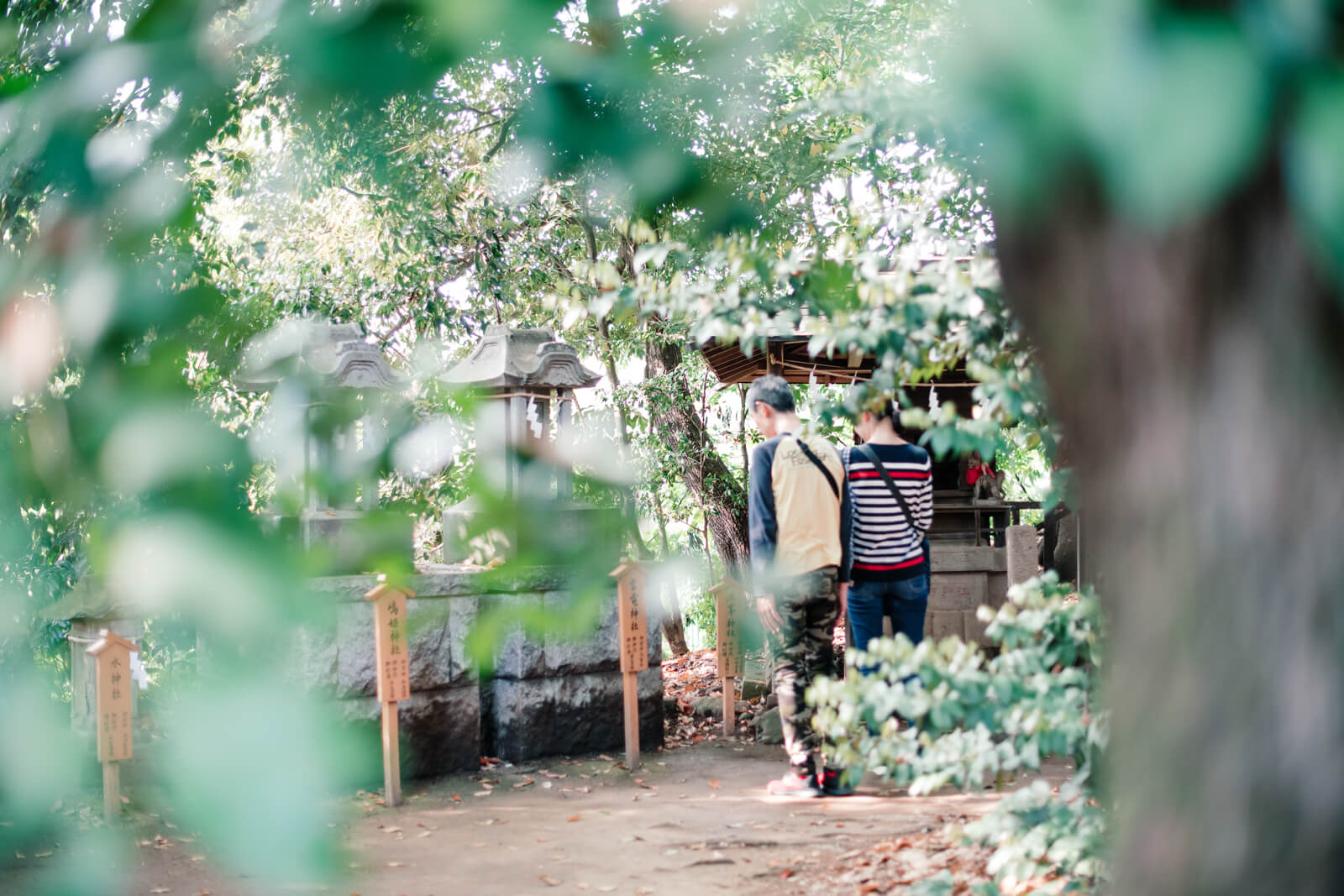 川越氷川神社の御祭神：祖島姫神 嶋姫神社