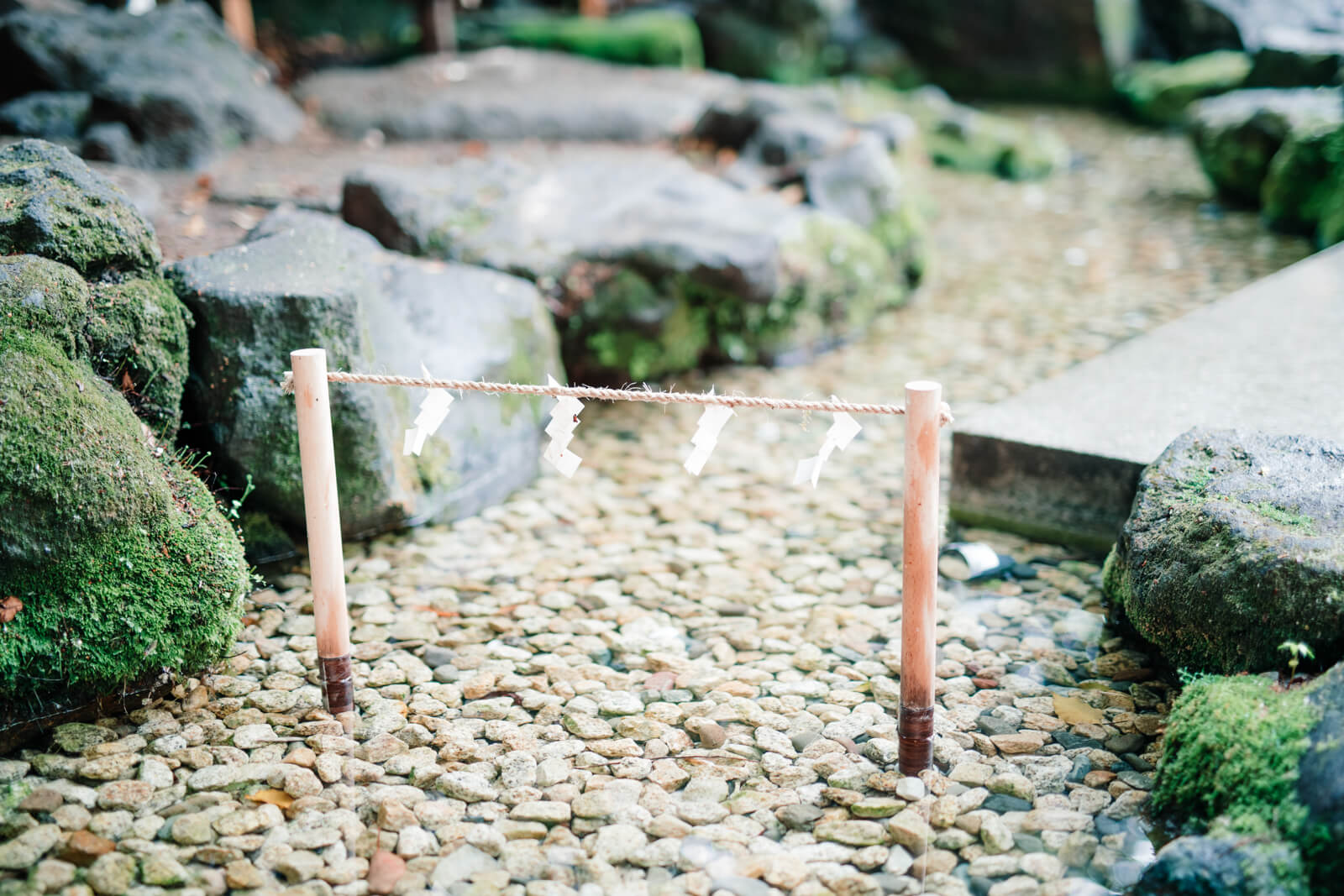 川越氷川神社の御神水