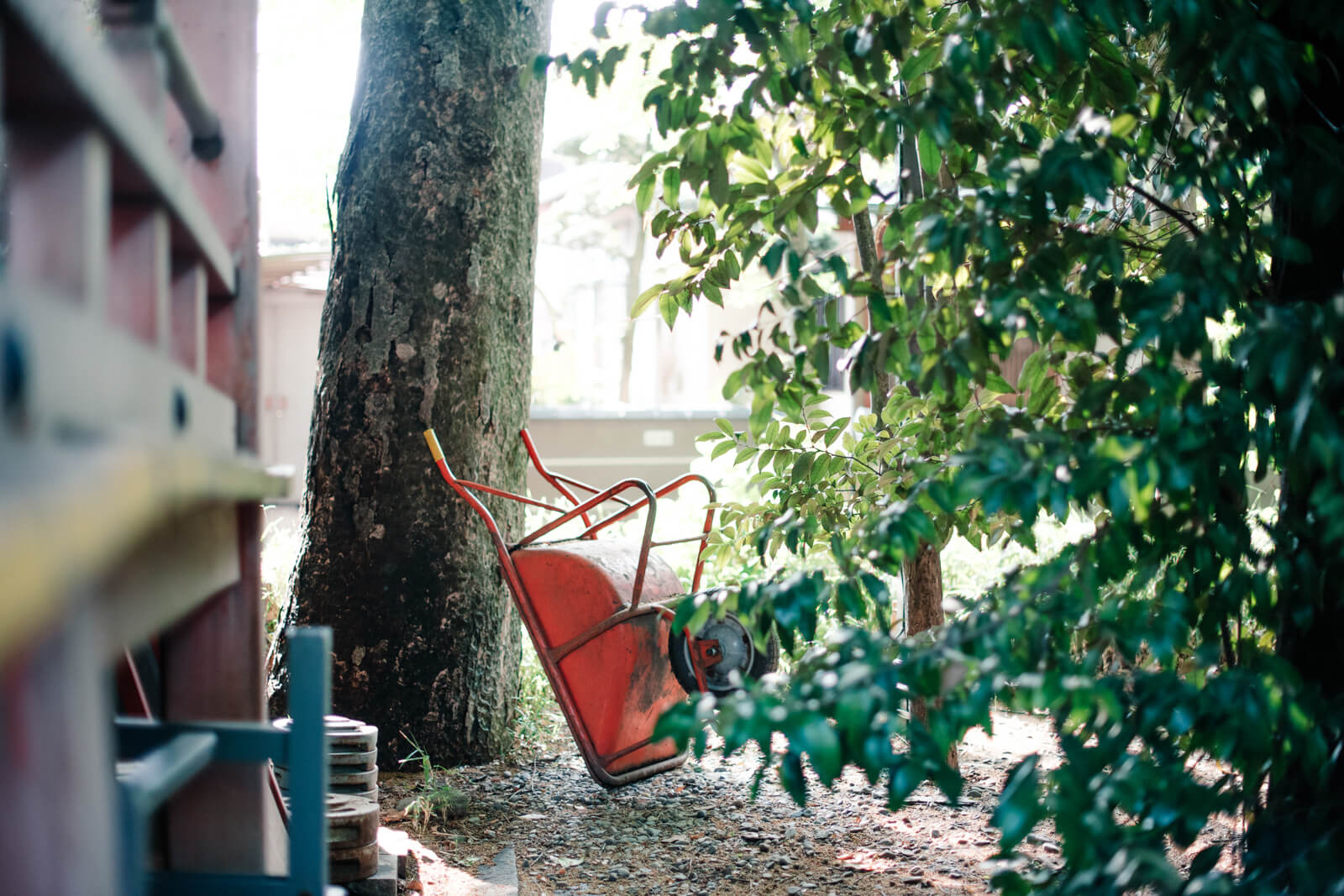 川越氷川神社の日常風景