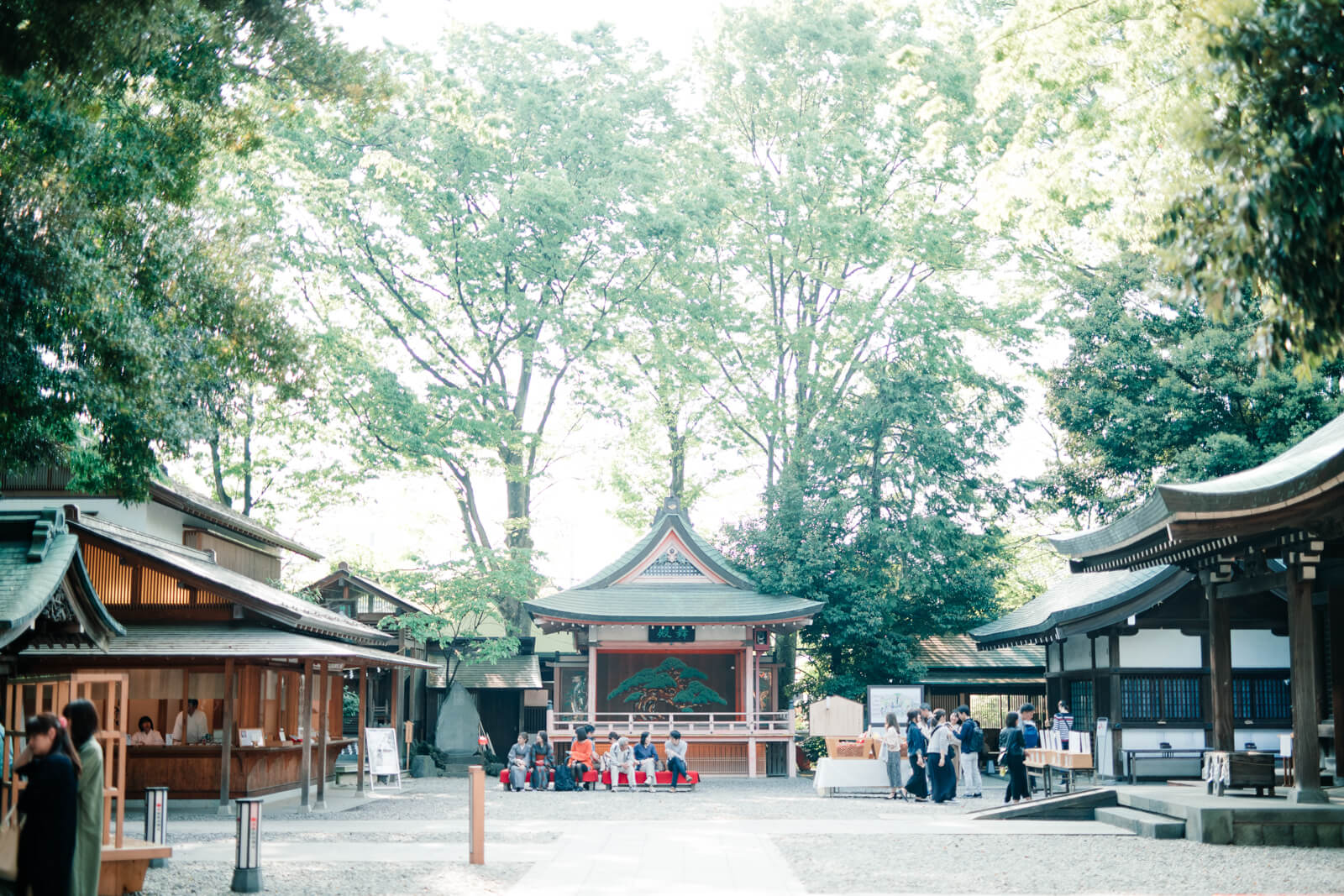川越氷川神社 境内 七五三とお宮参りの出張撮影