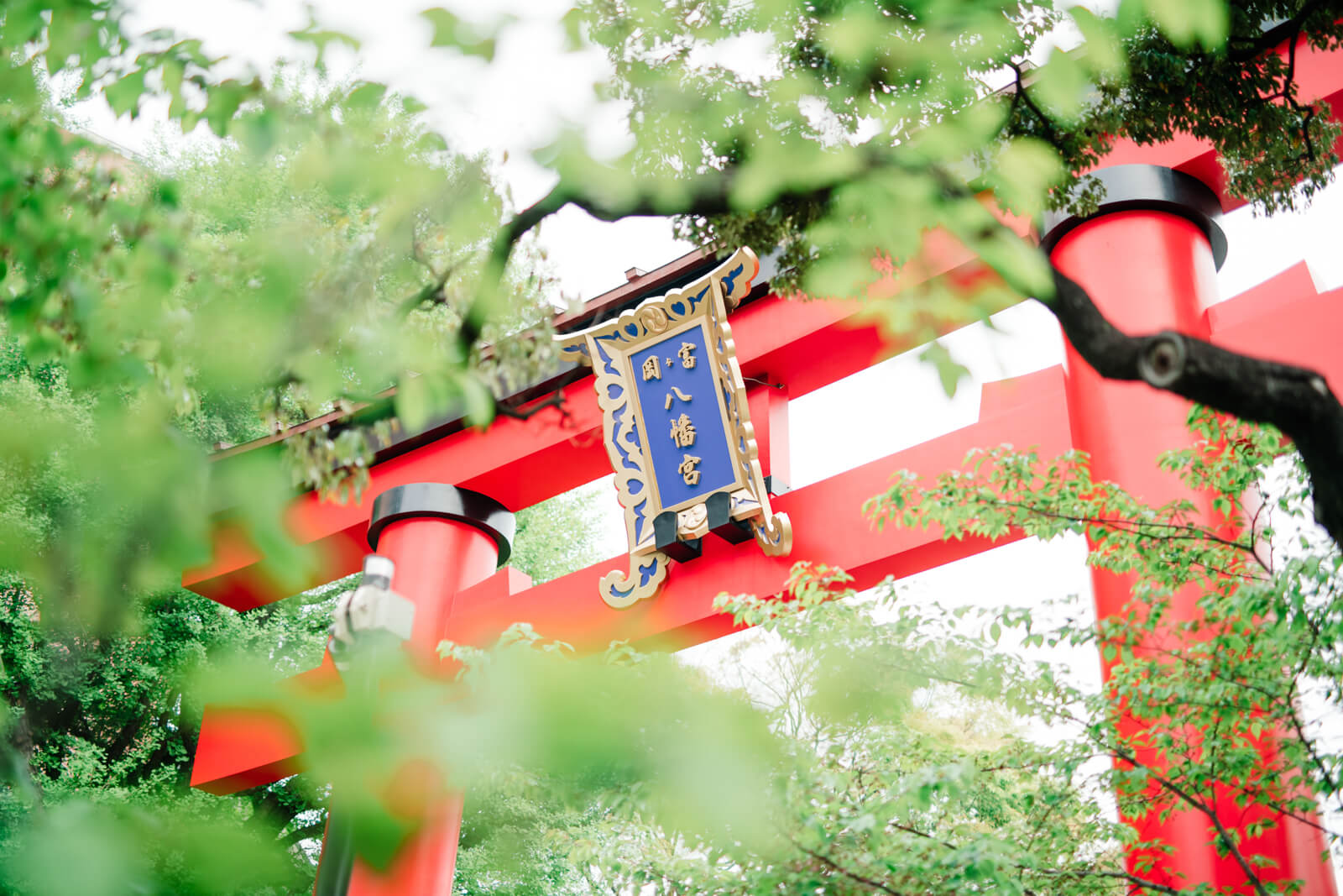 富岡八幡宮 商店街に面した鳥居